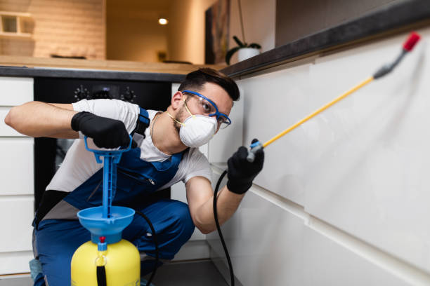 Best Flea Control Services  in Elkridge, MD