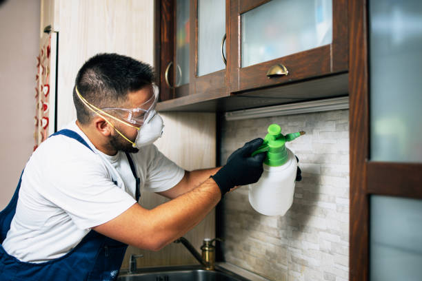Best Rat Extermination Near Me  in Elkridge, MD