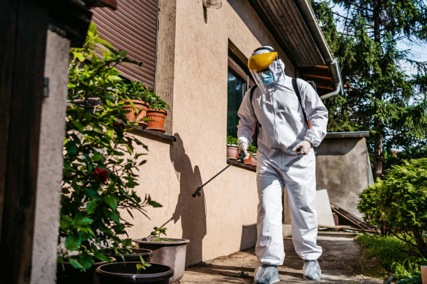 Best Affordable Pest Control Services  in Elkridge, MD