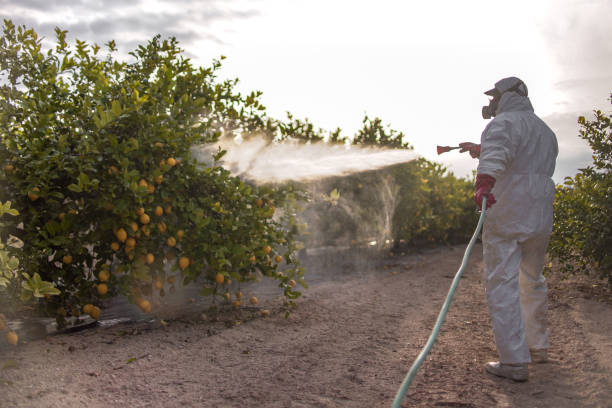 Best Pest Control Near Me in Elkridge, MD