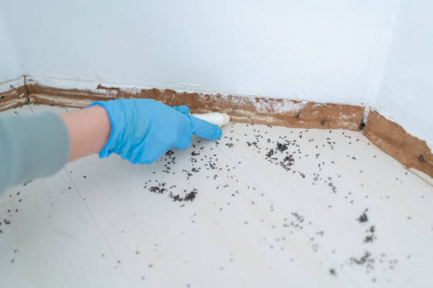 Pest Control for Restaurants in Elkridge, MD