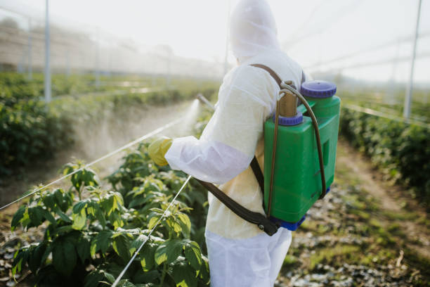 Best Mosquito Control Services  in Elkridge, MD